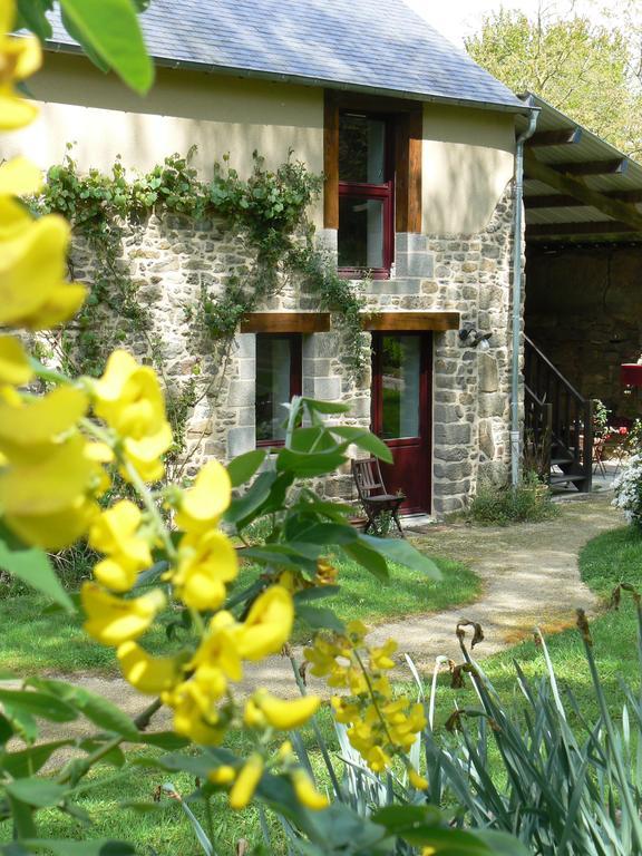 Chambres D'Hotes Du Vault Picot La Chapelle-aux-Filzméens Екстериор снимка